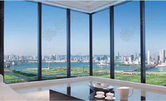 东京有明高级公寓267万人民币