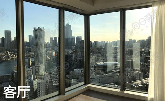 日本东京都中央区新川高级公寓