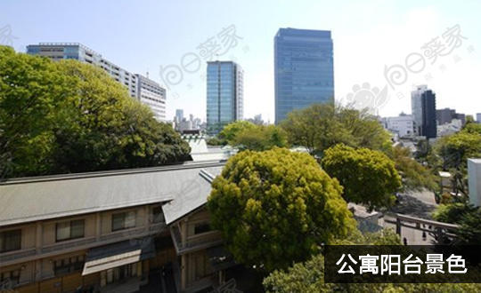 东京涩谷区原宿高级公寓2148万人民币