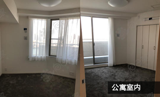 日本东京都江东区丰洲3居室公寓