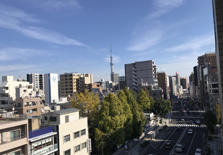 日本不动产住宅价格连续44个月上涨