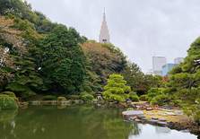 非居住者也能申请日本健康保险卡享受福利