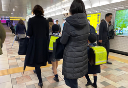 日本移民生活：日本孩子每个月零用钱给多少？