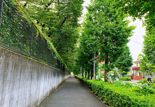 那些移居到日本地方城市的人真实感觉如何？