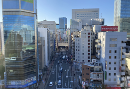 在日本投资房产有什么需要警惕的风险？