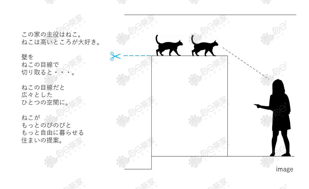 日本东京都文京区千石养猫人公寓