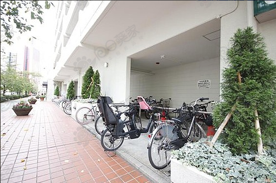 公寓自行车放置处