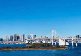 想在日本东京买一套海景房，能实现吗？