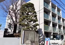 日本租房的更新费有法律依据吗？