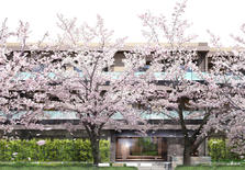 日本东京都目黑区自由之丘樱邸小高层公寓