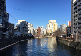 在日本拥有两处自住房是种什么体验？