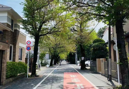 日本购房经验：房子旁的道路是否满足接道义务？