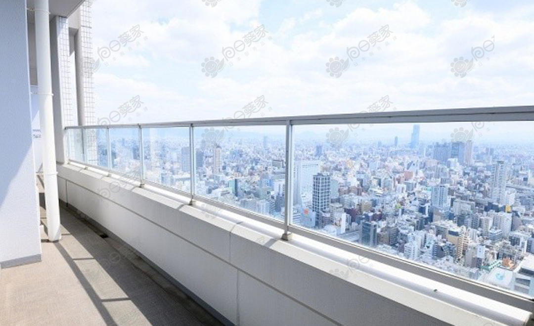日本大阪市西区心斋桥周边塔楼顶层公寓