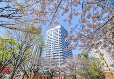 日本东京都港区西麻布1居室高级塔楼公寓