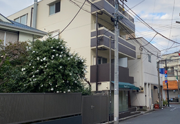 日本东京买房哪里好？举几个东京人气区域例子