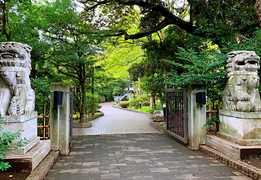 日本东京墨田区最适合散步，有人同意吗？