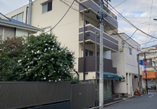 日本整栋公寓没住满，对房价有影响吗？