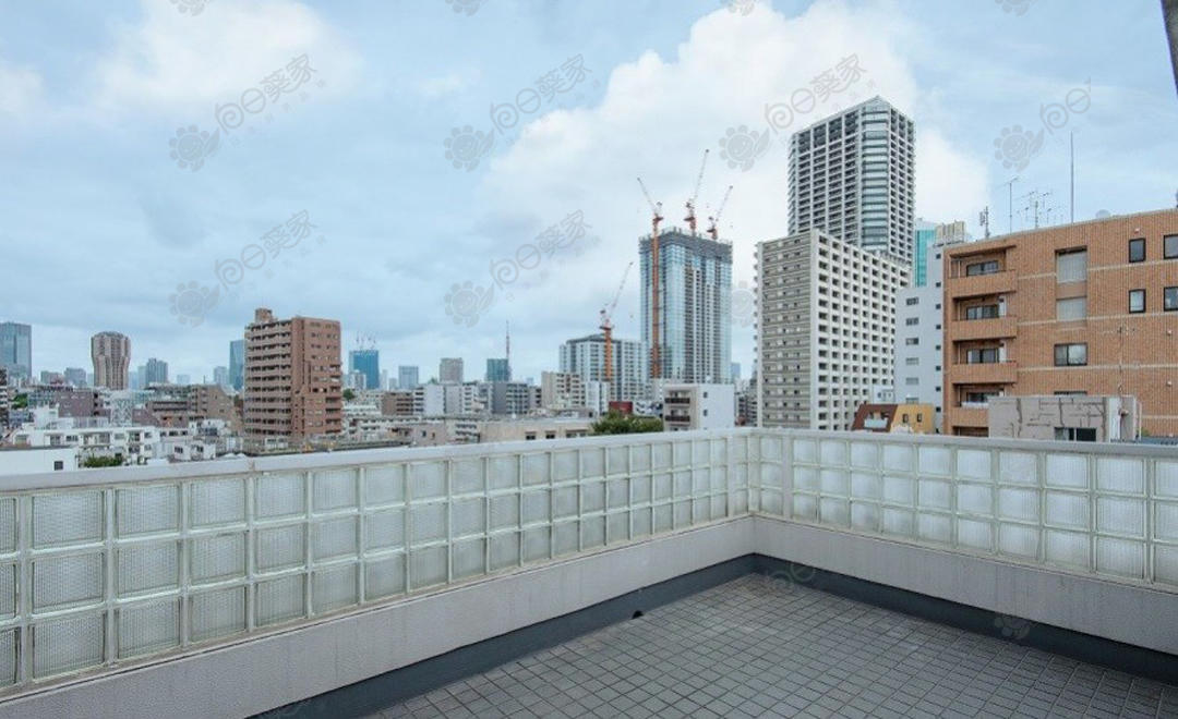 日本东京都港区白金2居室公寓