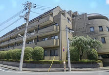 日本东京都涩谷区幡谷1居室公寓