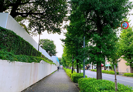 人情淡薄？看看日本东京的真实居住体验